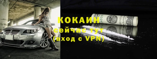 прущие грибы Белоозёрский