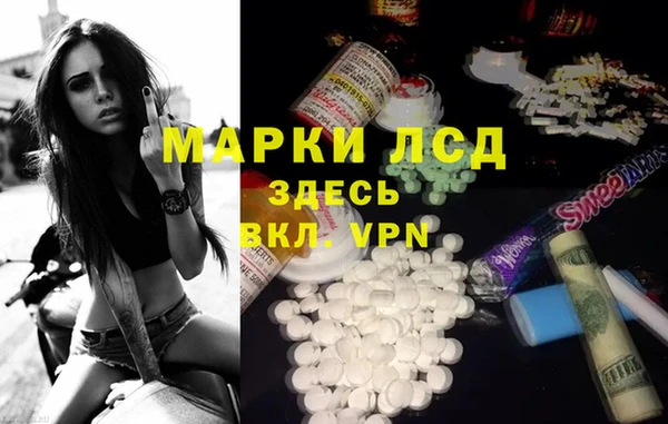 прущие грибы Белоозёрский