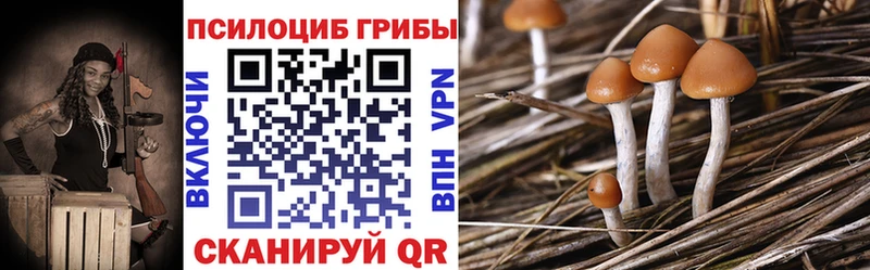 даркнет сайт  нарко площадка клад  Галлюциногенные грибы Cubensis  Покровск 